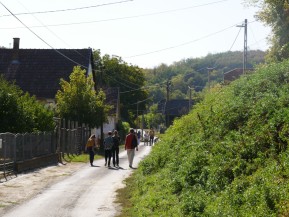 P1190041